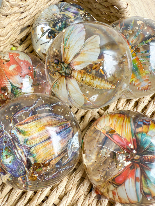 Insect Treasure Stones