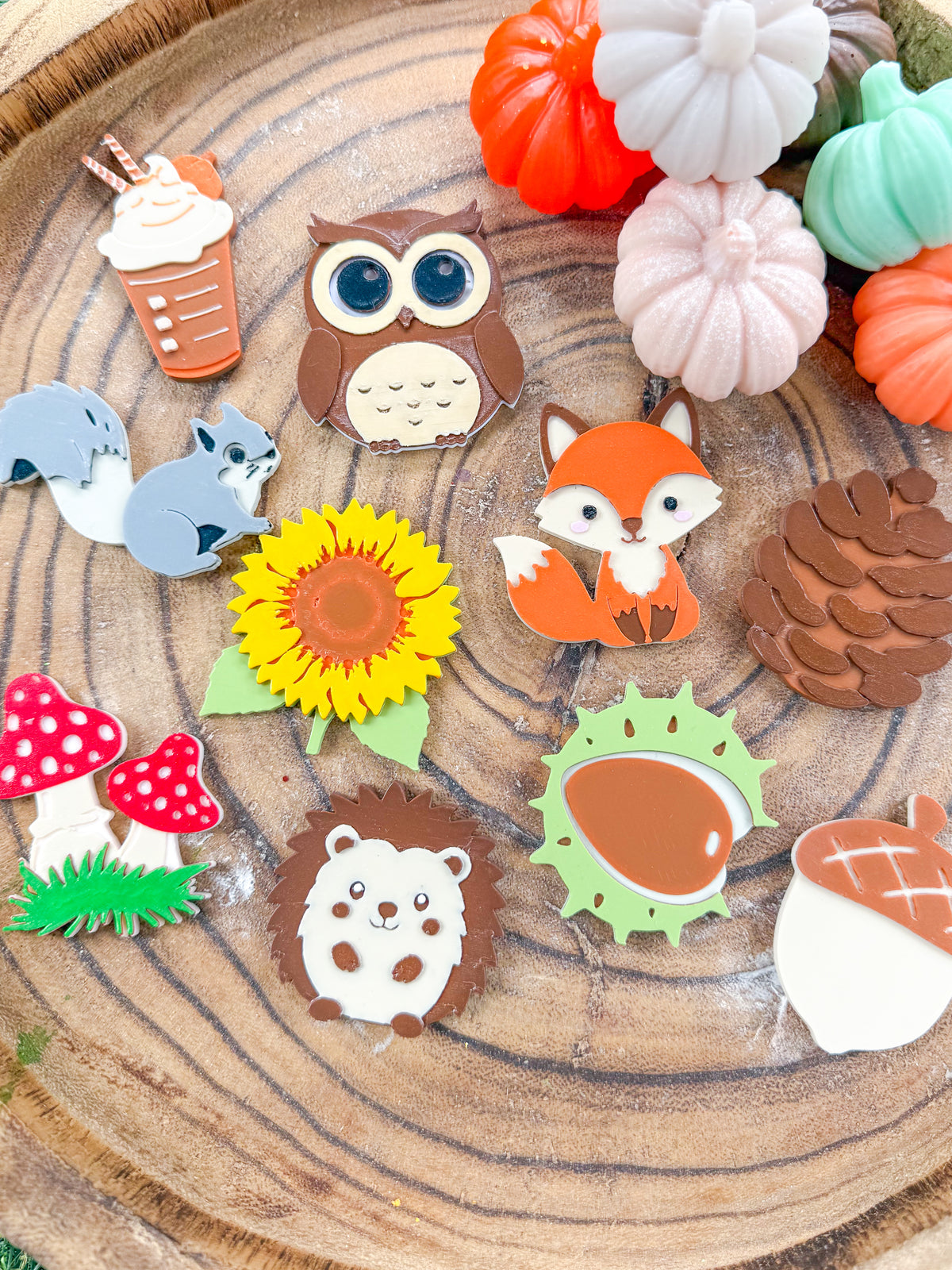 Autumn Woodland Loose Parts