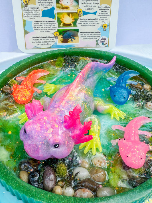 Lagoon Playscape Only (no axolotls)
