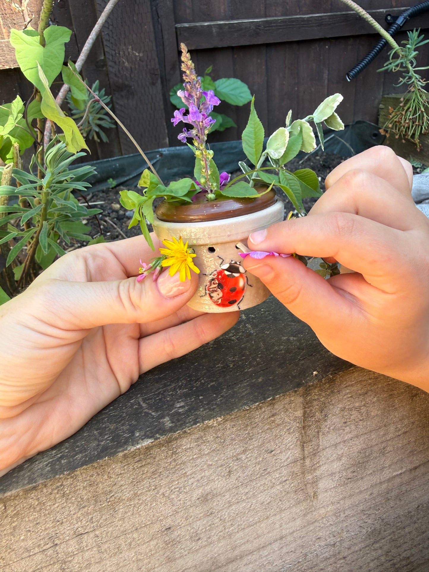 Little Nature Treasure Pot - NO DISCOUNT PLS.