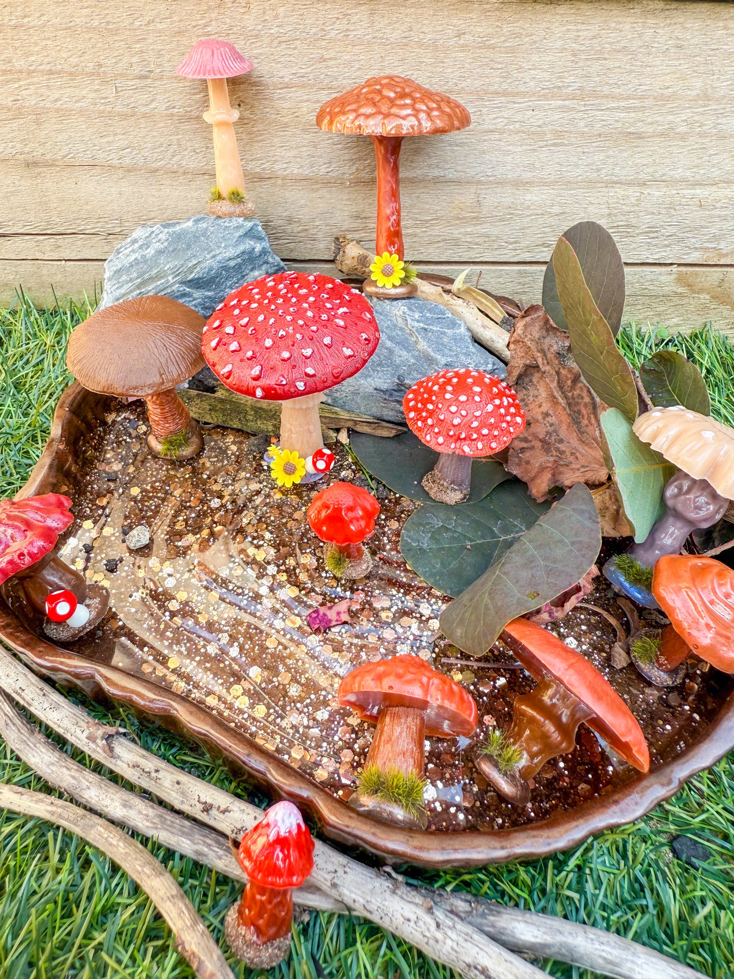 Woodland mushrooms & toadstools