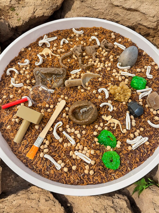 Dino Dig & Find Sensory Kit