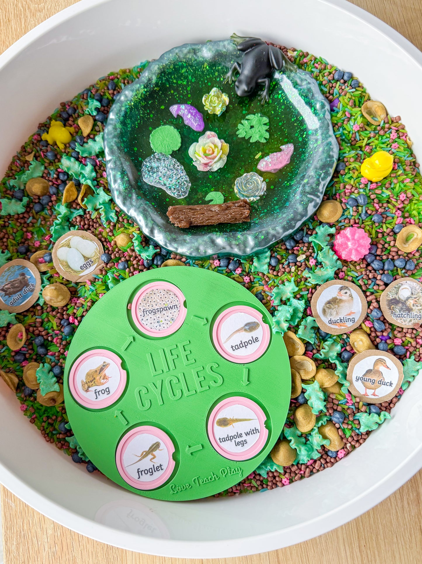 Pond Life Sensory Kit