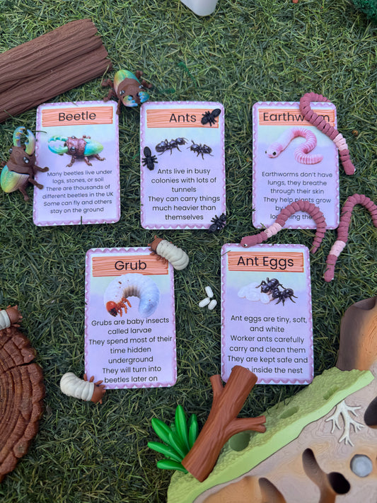 Underground Bug Habitat