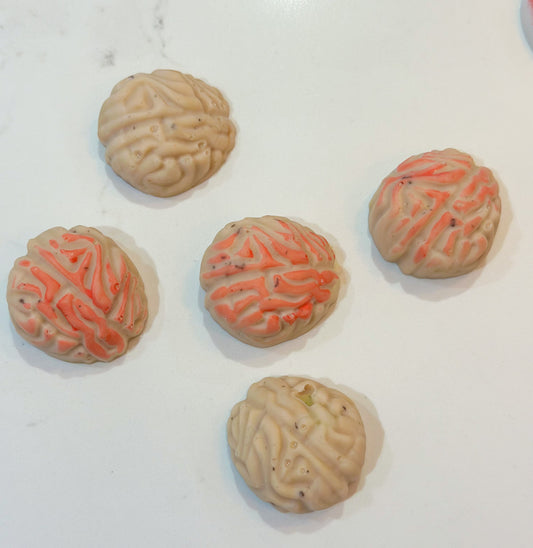 Brains