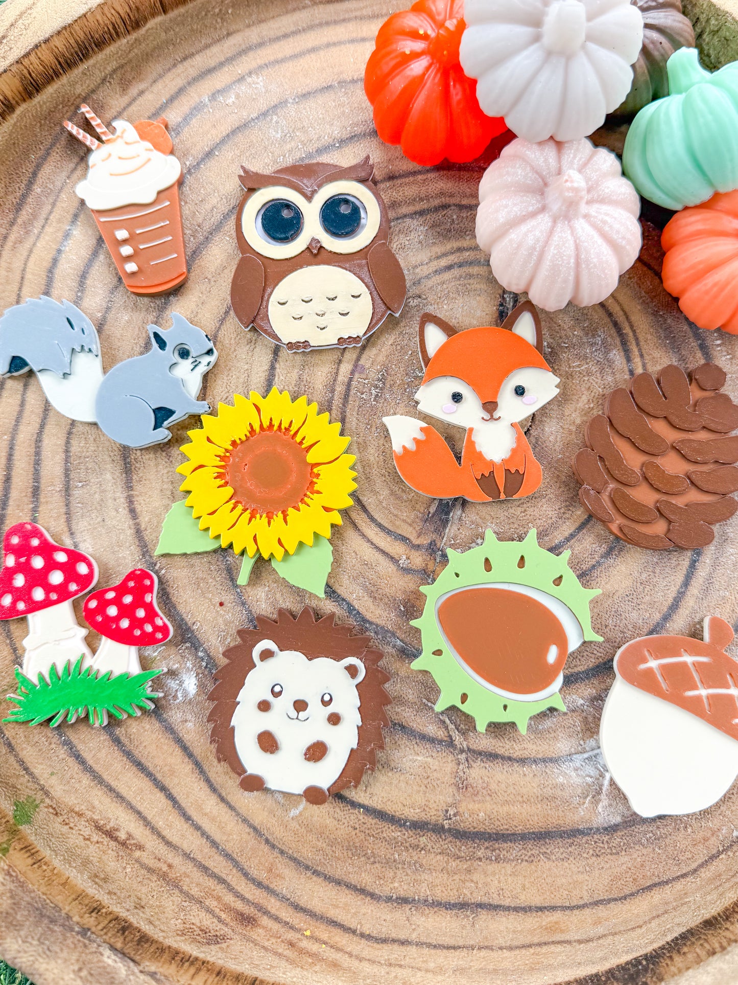 Autumn Woodland Loose Parts