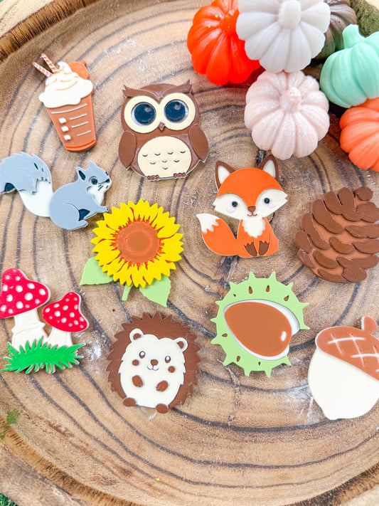 Autumn Woodland Loose Parts