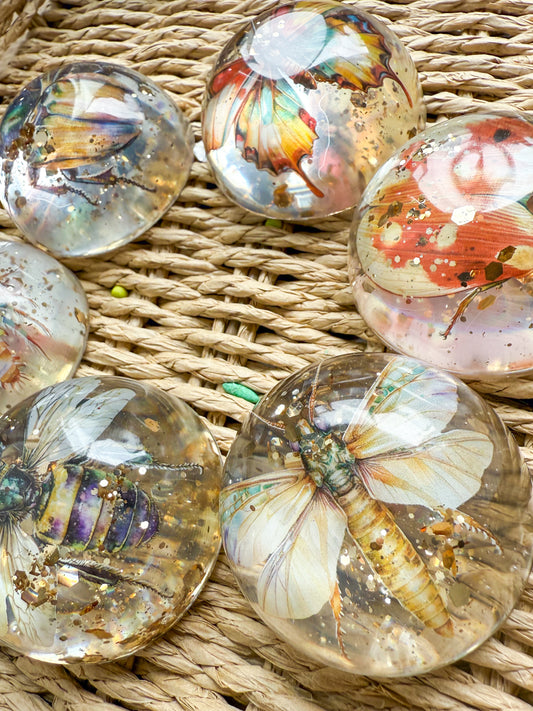 Insect Treasure Stones