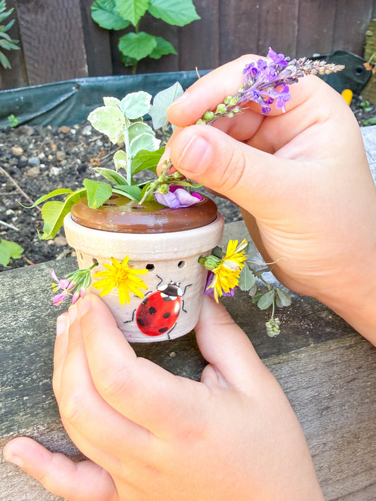 Little Nature Treasure Pot - NO DISCOUNT PLS.