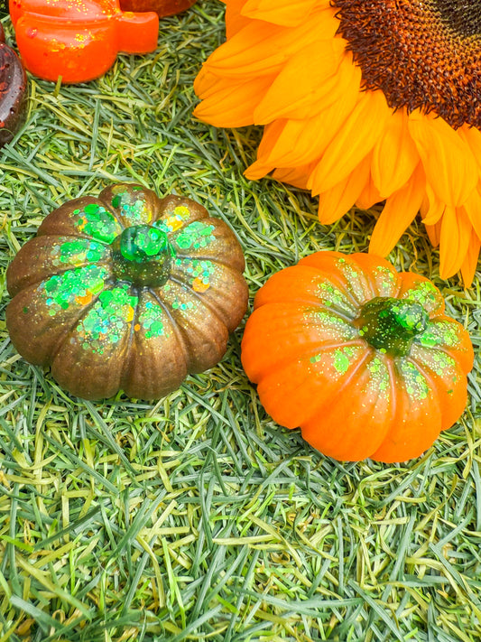 Mini Pumpkins 🎃