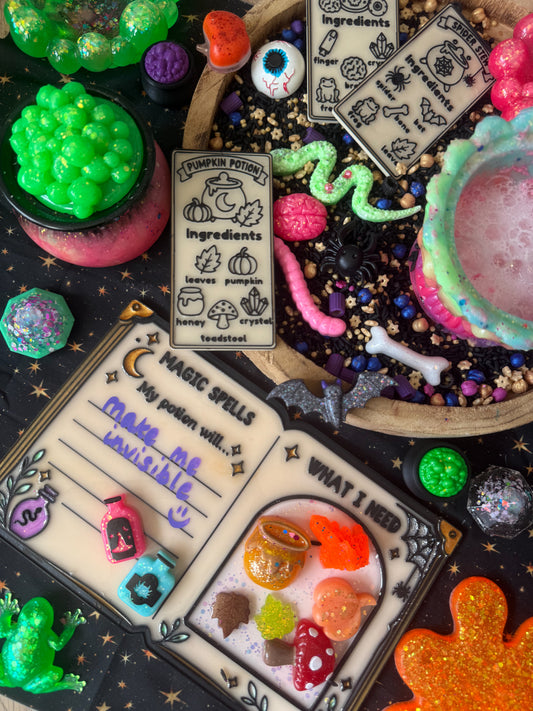 Witches Potion Playset and Spellbook