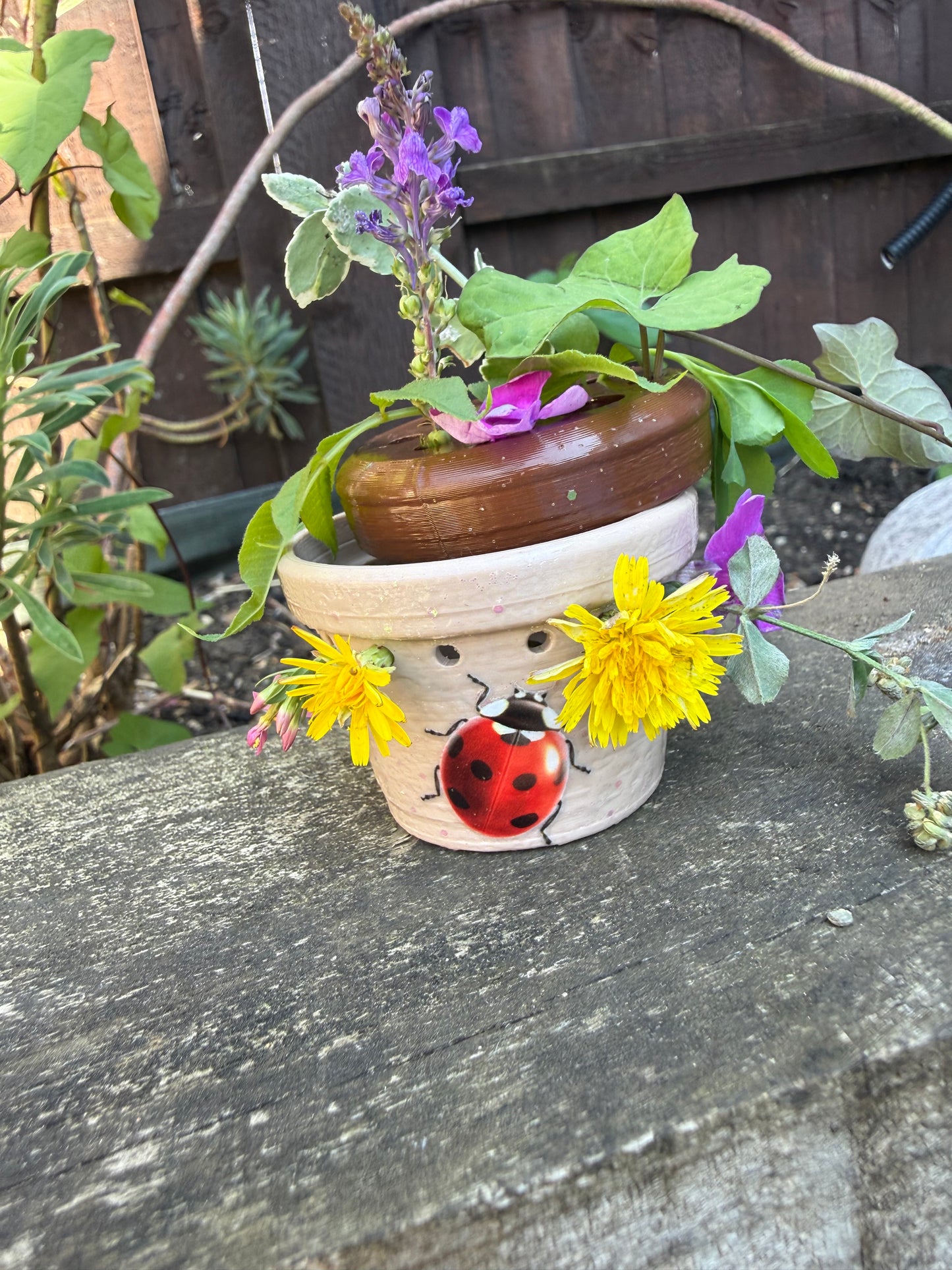 Little Nature Treasure Pot - NO DISCOUNT PLS.