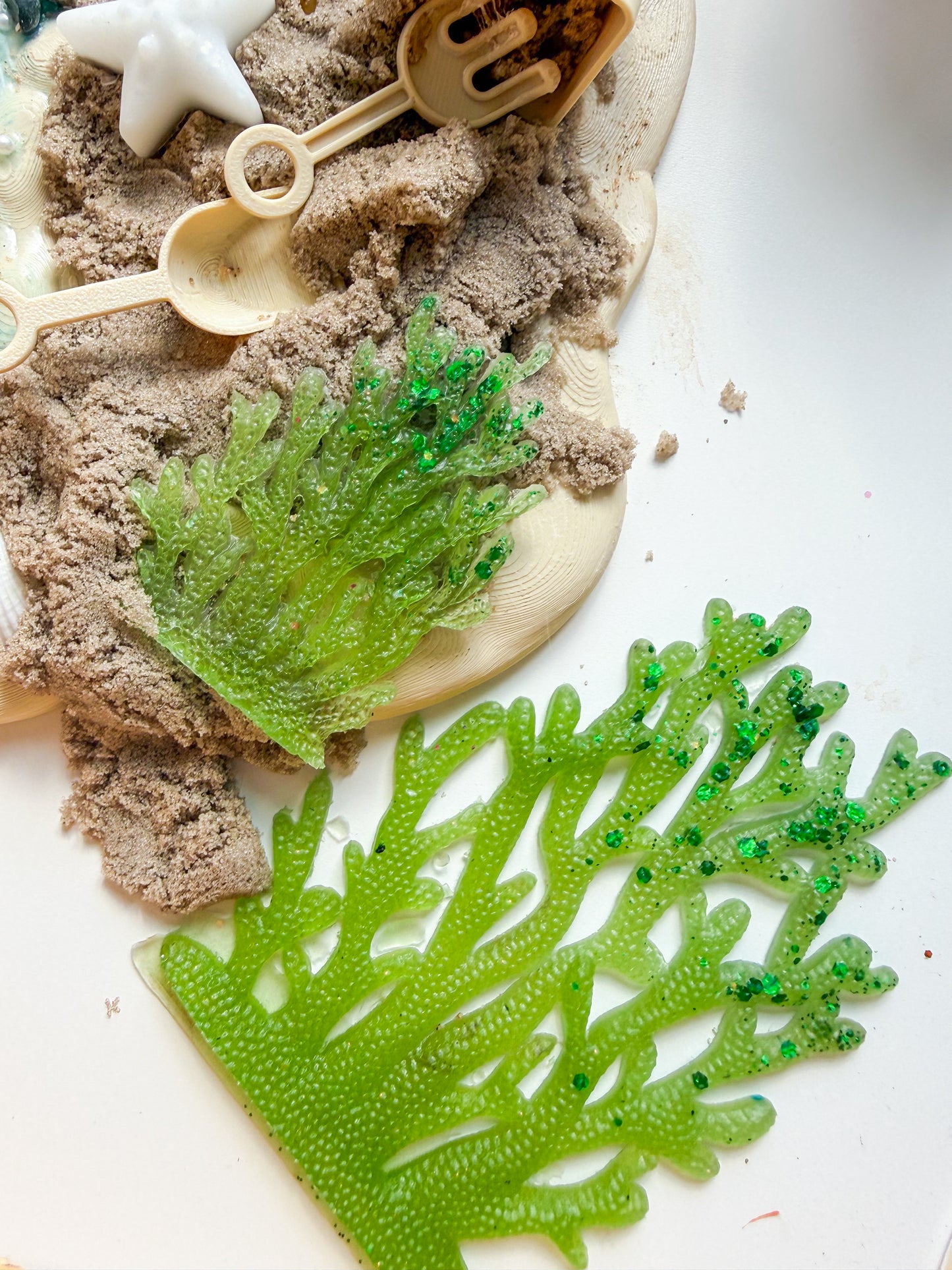 Set of seaweed