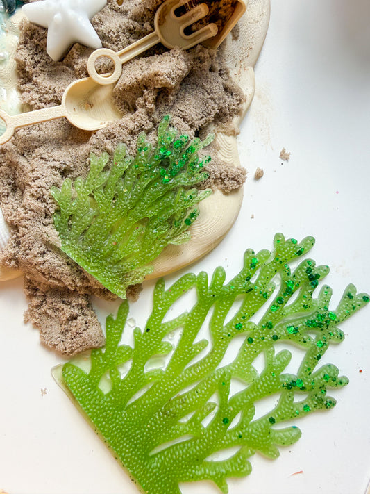 Set of seaweed