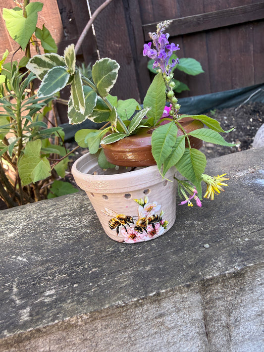 Little Nature Treasure Pot - NO DISCOUNT PLS.
