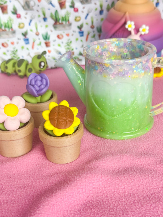 Little Garden 🌼 Pour and Plant Set
