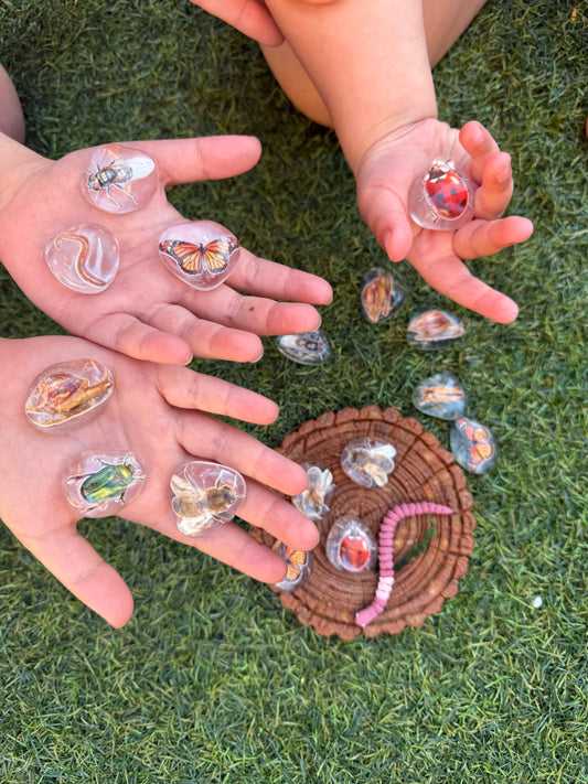 Little Bug Discovery Pebbles