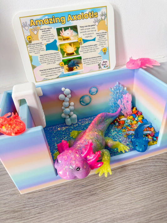 Axolotl Aquarium Mega Kit